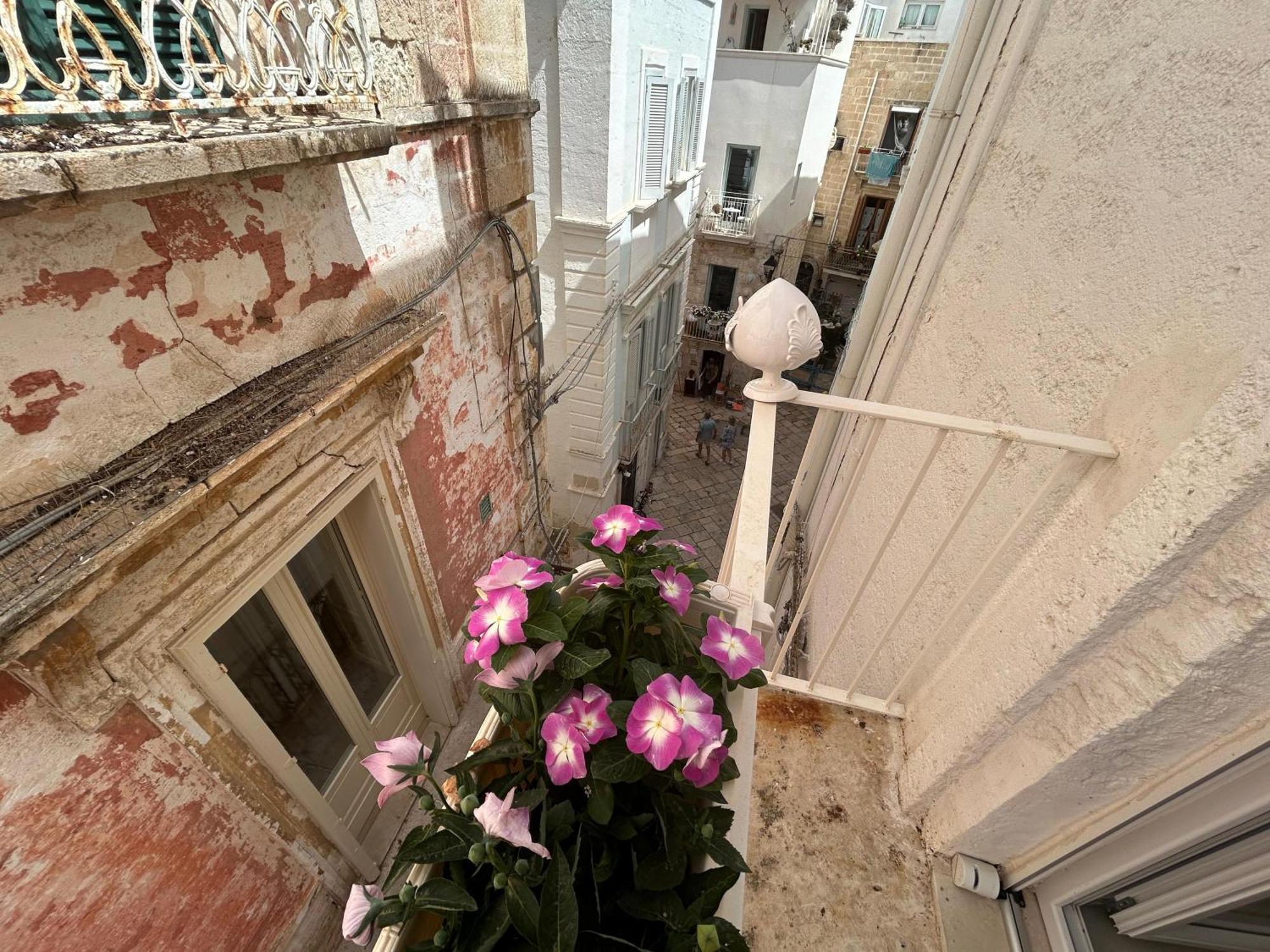 Frühstückspension Trame - La Naca Sul Porto Polignano a Mare
